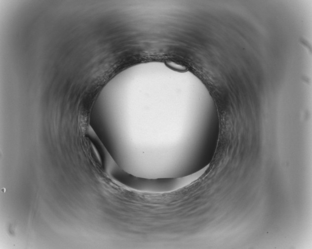 X0000093360033200710251141