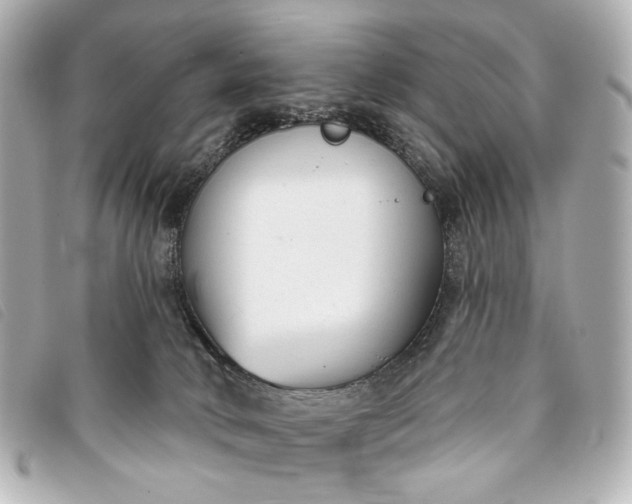 X0000093360034200710251141