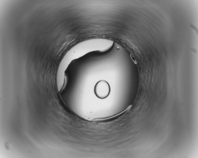 X0000093360035200710251141