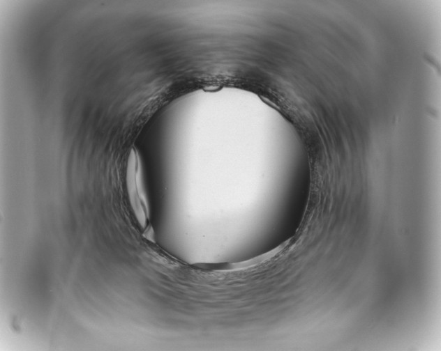 X0000093360037200710251141