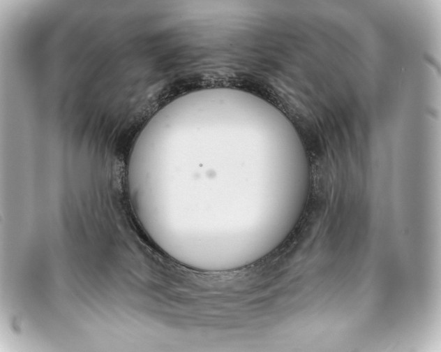 X0000093360038200710251141