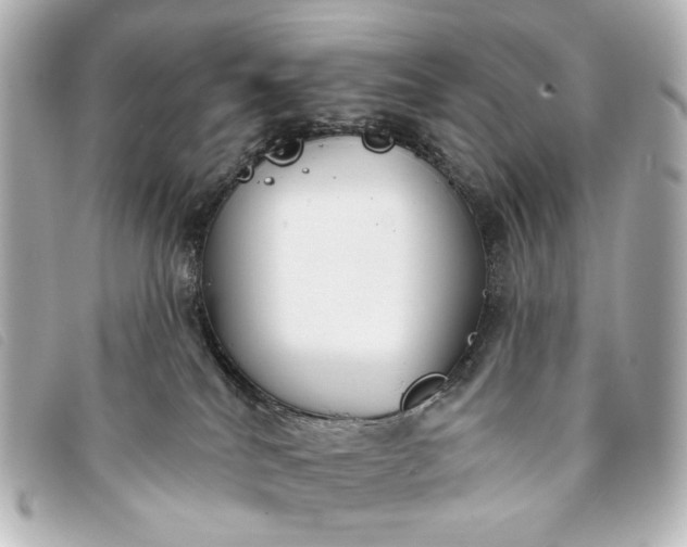 X0000093360040200710251141