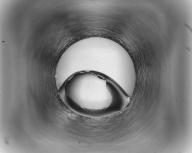 X0000093360041200710251141