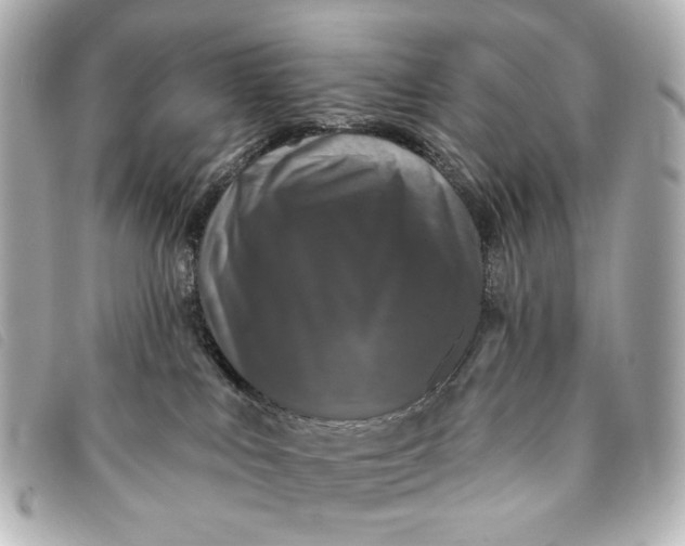 X0000093360043200710251141