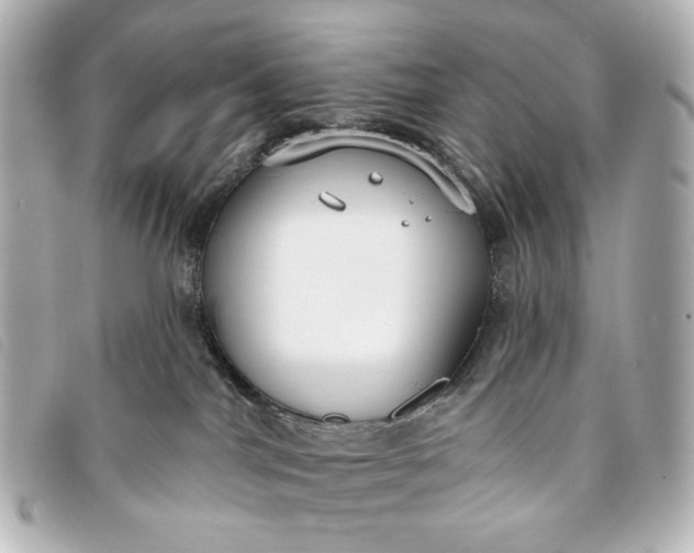 X0000093360044200710251141