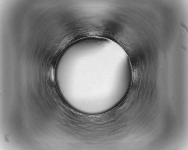 X0000093360046200710251141