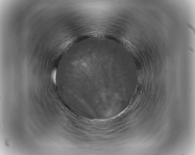 X0000093360047200710251141