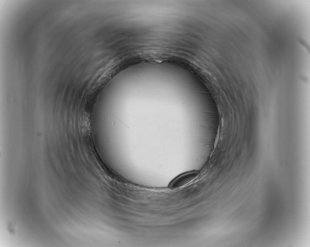 X0000093360048200710251141