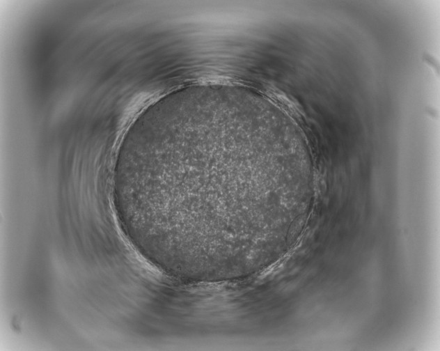 X0000093360049200710251140