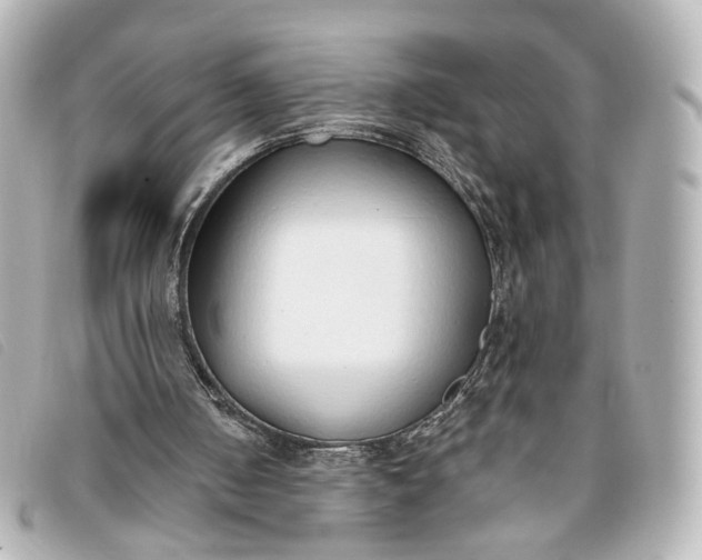 X0000093360050200710251140