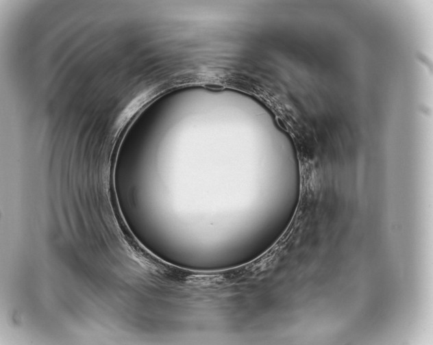 X0000093360051200710251140