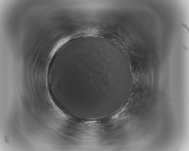 X0000093360054200710251140