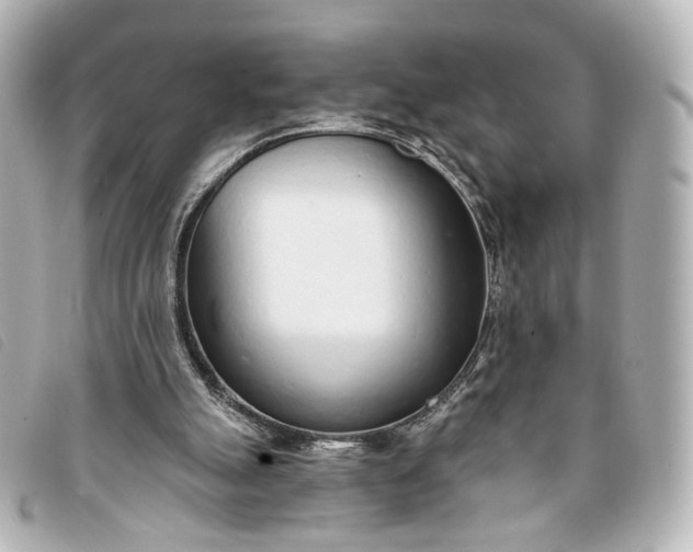 X0000093360055200710251140