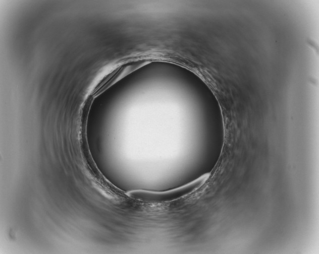 X0000093360056200710251140