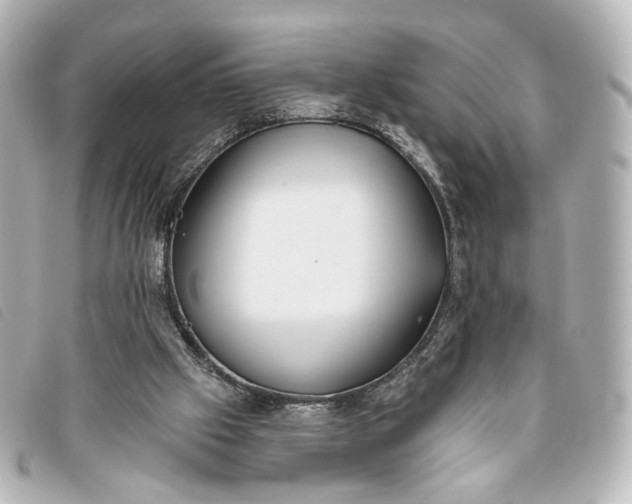 X0000093360057200710251140