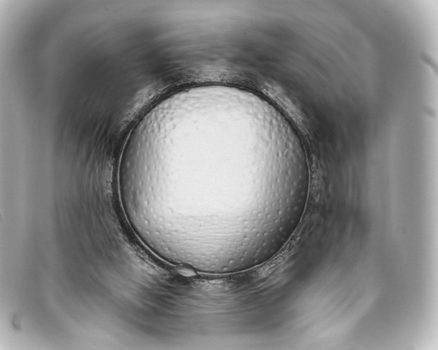 X0000093360058200710251141