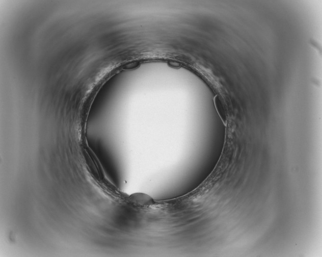 X0000093360060200710251141