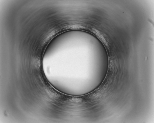 X0000093360063200710251141
