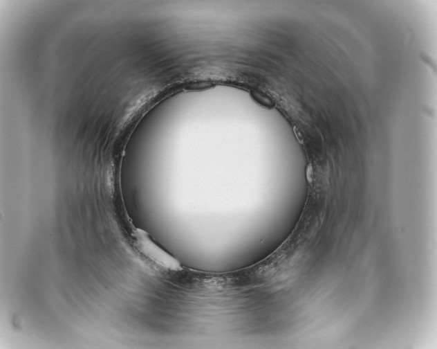 X0000093360064200710251141