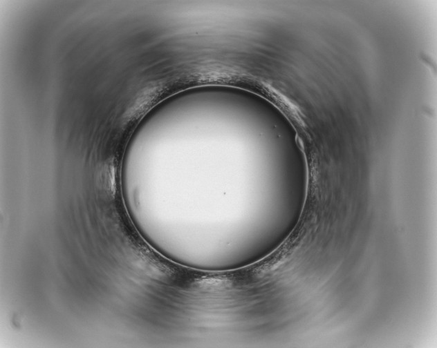 X0000093360067200710251141