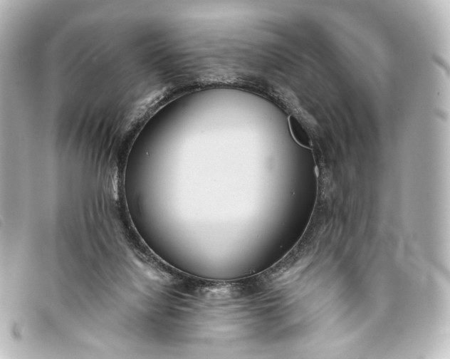 X0000093360068200710251141