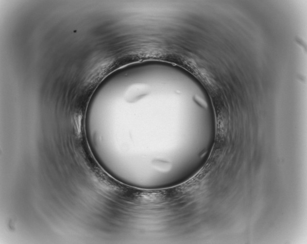 X0000093360070200710251141