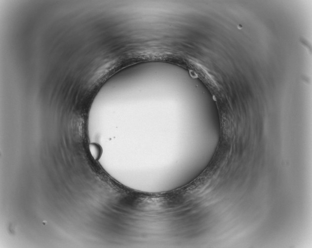 X0000093360071200710251141