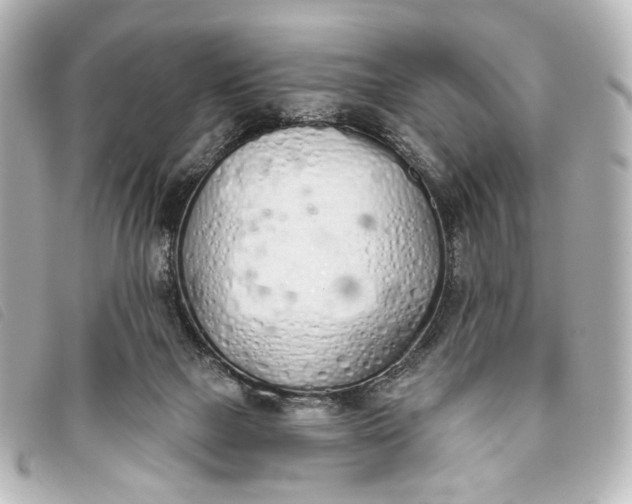 X0000093360073200710251141