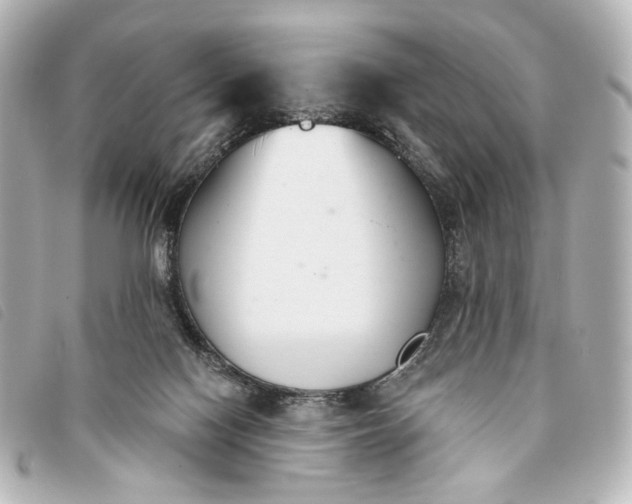 X0000093360074200710251141