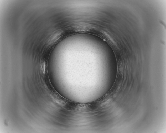 X0000093360076200710251141