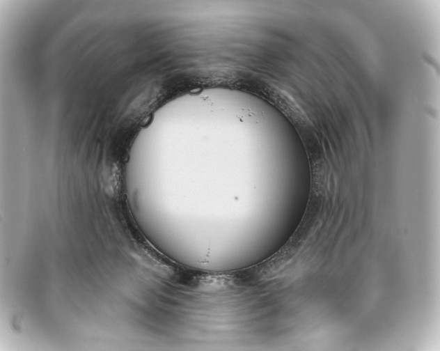 X0000093360077200710251141