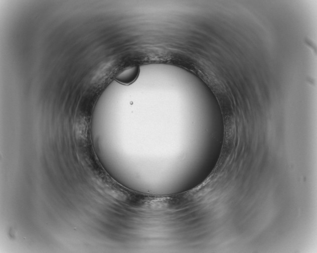 X0000093360078200710251141
