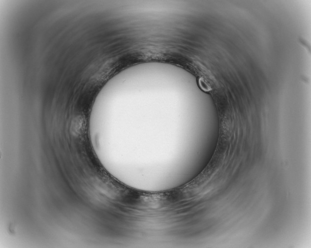 X0000093360079200710251141