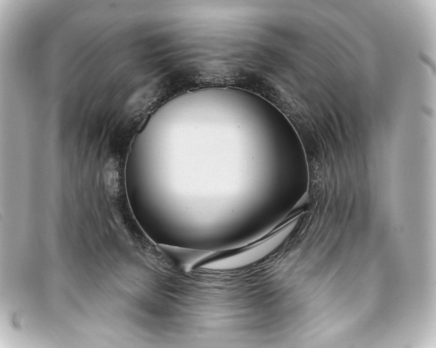 X0000093360080200710251141