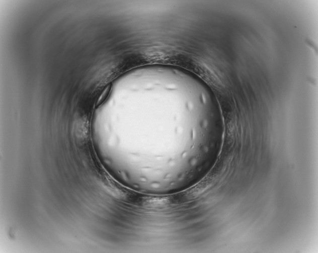 X0000093360081200710251141