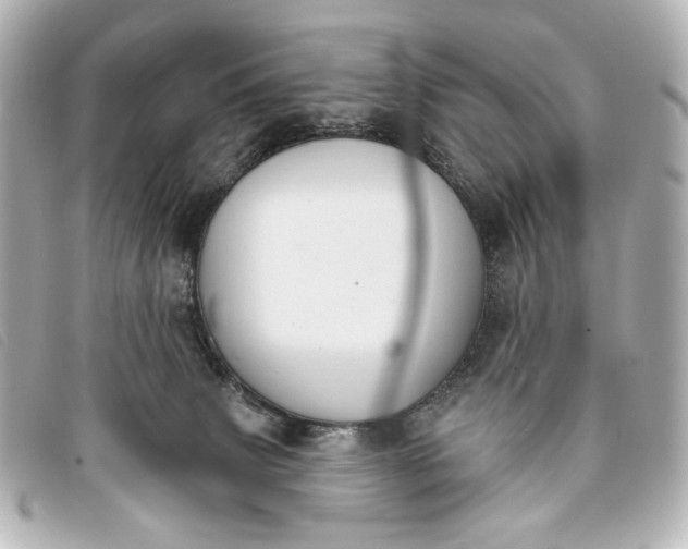 X0000093360083200710251141
