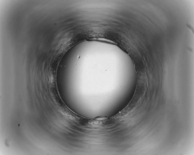 X0000093360084200710251141