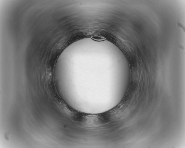 X0000093360085200710251141