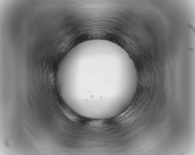 X0000093360086200710251141