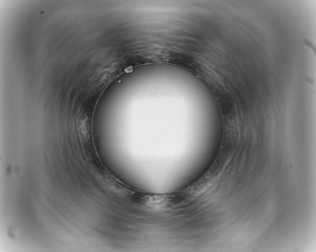 X0000093360088200710251141