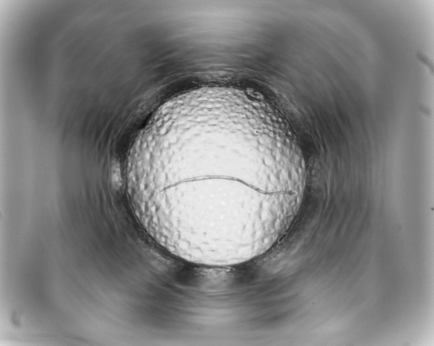 X0000093360089200710251141