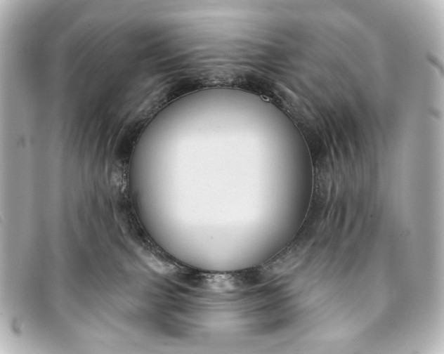 X0000093360091200710251141