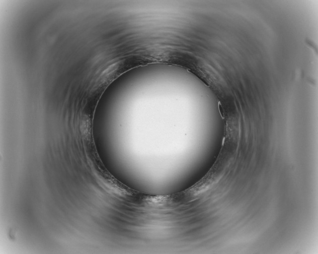 X0000093360092200710251141