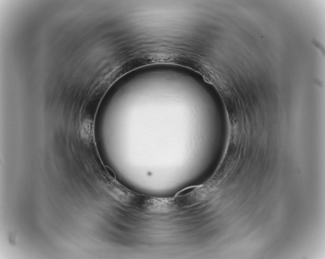 X0000093360093200710251141