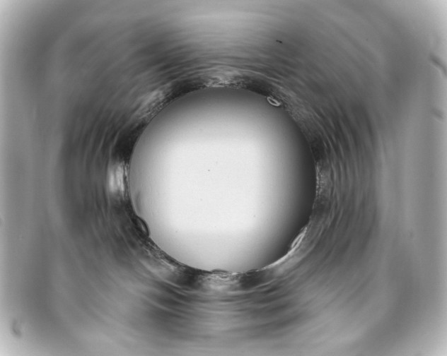 X0000093360094200710251141