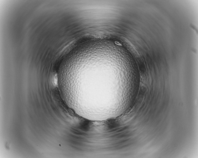 X0000093360095200710251141