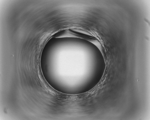 X0000093360097200710251140