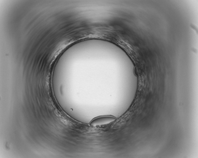 X0000093360098200710251140