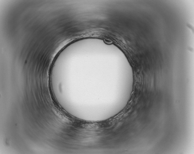 X0000093360100200710251140