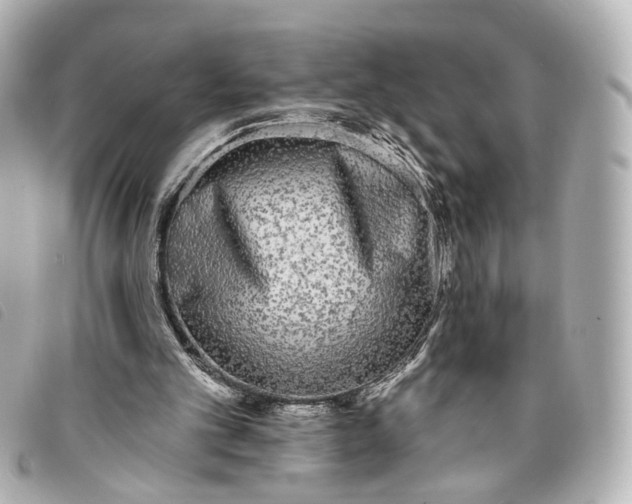 X0000093360101200710251140